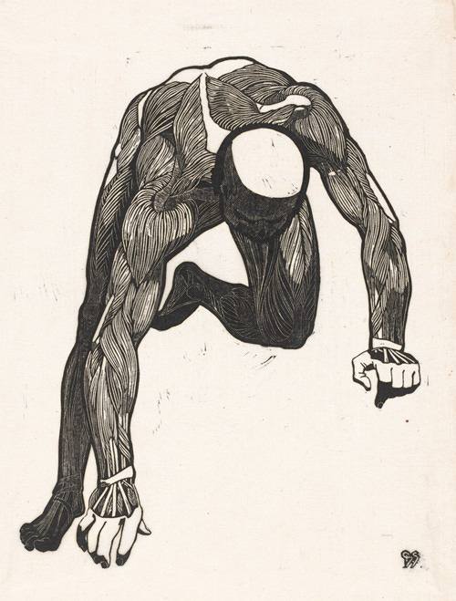 Anatomische studie van de hals-, arm- en beenspieren van een man