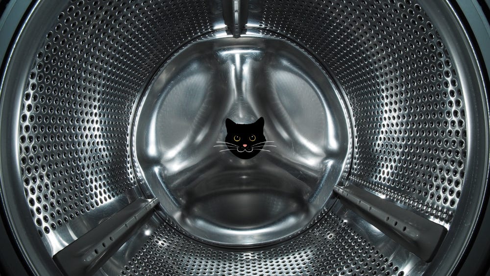 Image of cat face inside a washing machine