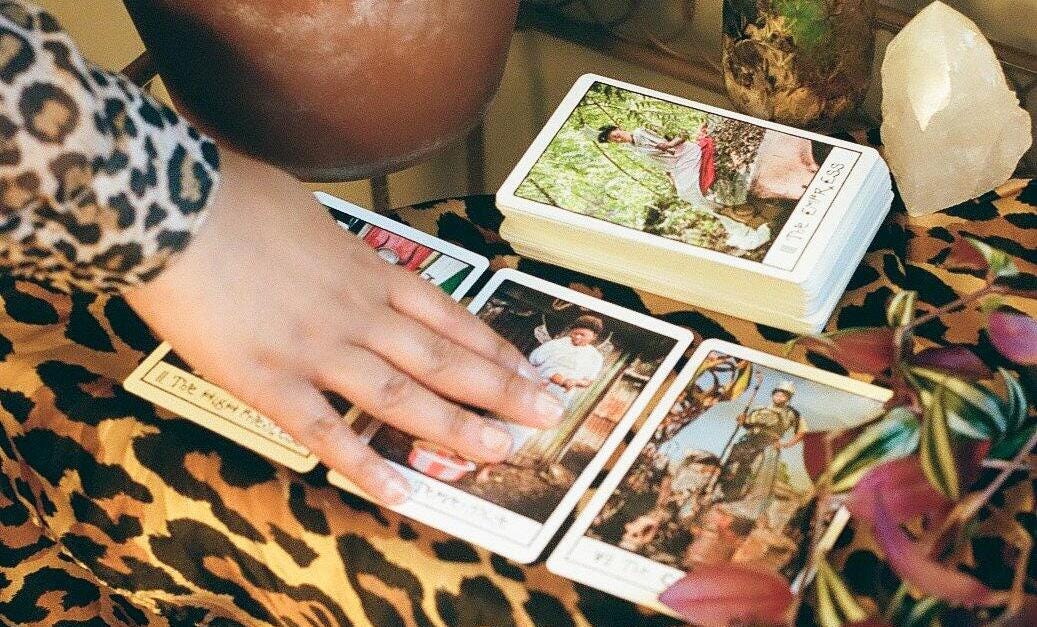 A hand is reaching out and touching 3 cards that have been drawn from a desk, against a leopard print tablecloth and plants and a crystal. The sleeve of the arm of the hand is also leopard print.
