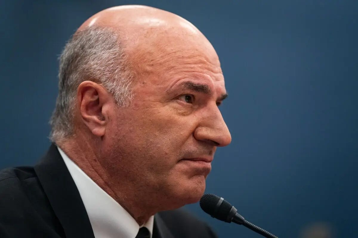 Kevin O’Leary, chairman of O'Leary Ventures, testifies before the House Committee on Small Business during a hearing on Capitol Hill, in Washington, on Jan. 18, 2024. (Kent Nishimura/Getty Images)