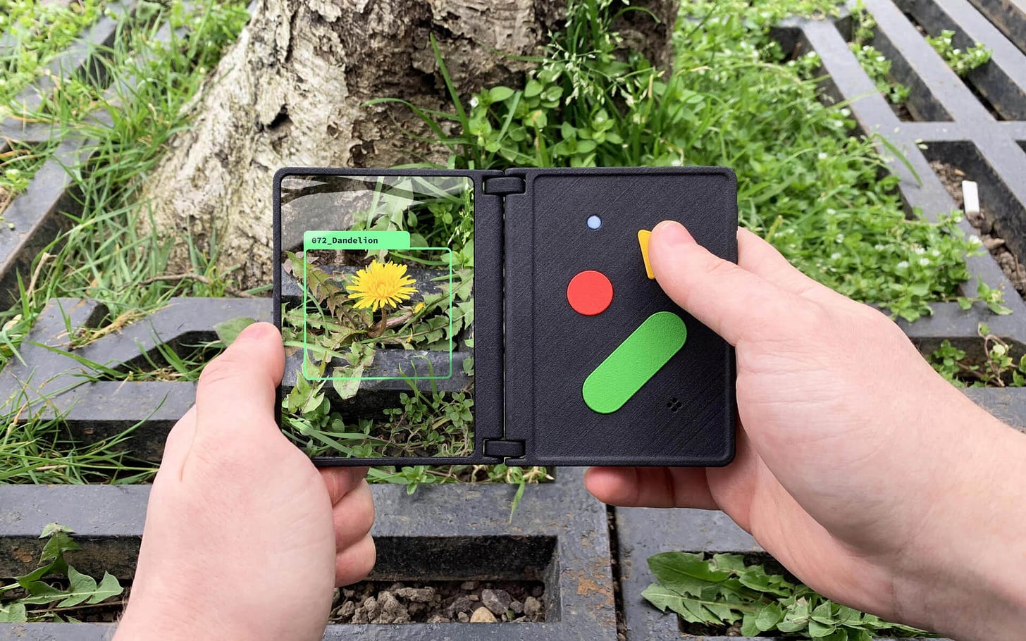 Ash is a pocket AI device that helps curious people learn about the biodiversity around them.