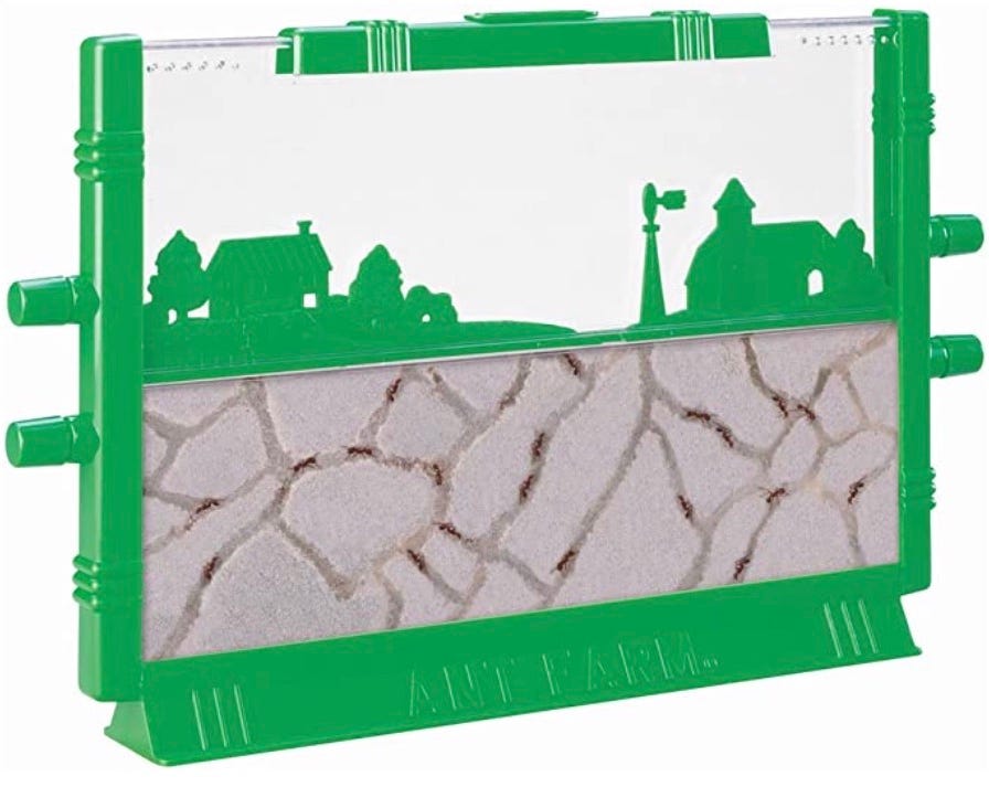 Picture of an ant farm. It has a green plastic frame around a clear piece of plastic. The top half has a fake farm scene made of green plastic. The bottom half is filled with sand, in which ants are tunneling.