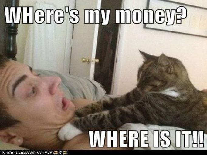 Wheres-My-Money-Funny-Cat-Meme-Picture -