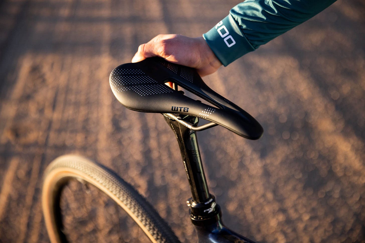 Introducing the WTB Gravelier Saddle - BIKEPACKING.com