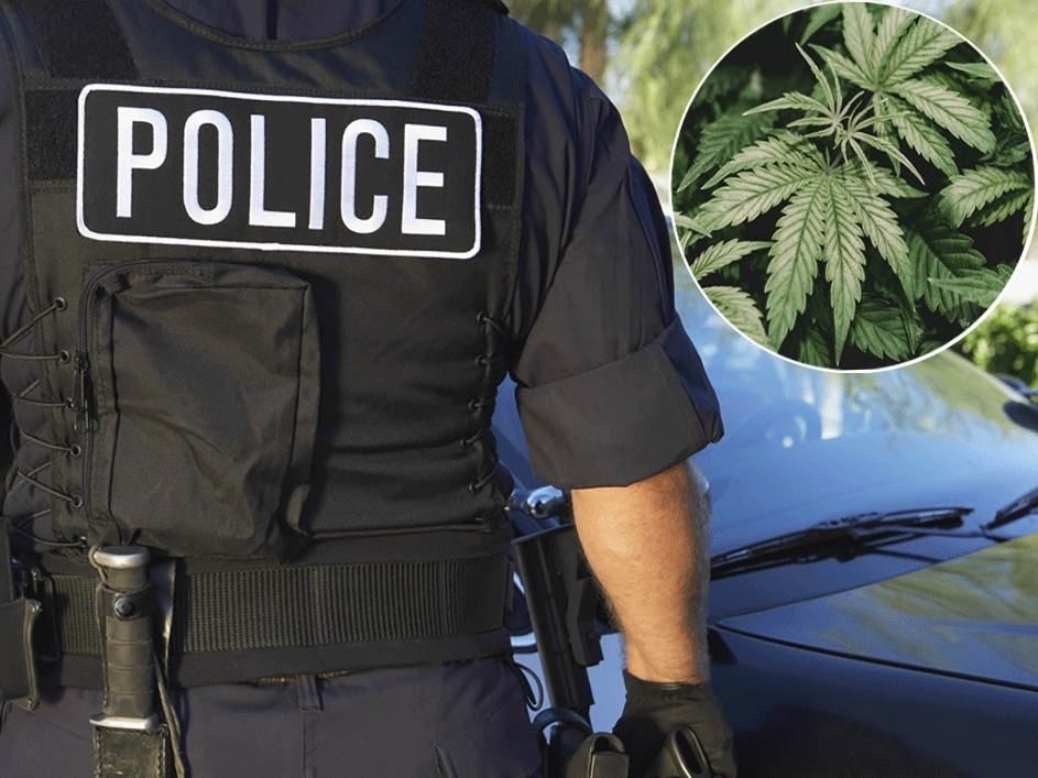 Cops Can Smoke Weed Off-Duty: 5 NJ Stories You Need To Read | Across New  Jersey, NJ Patch