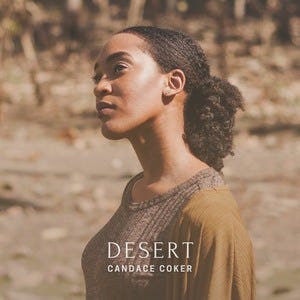 Desert by Candace Coker 
