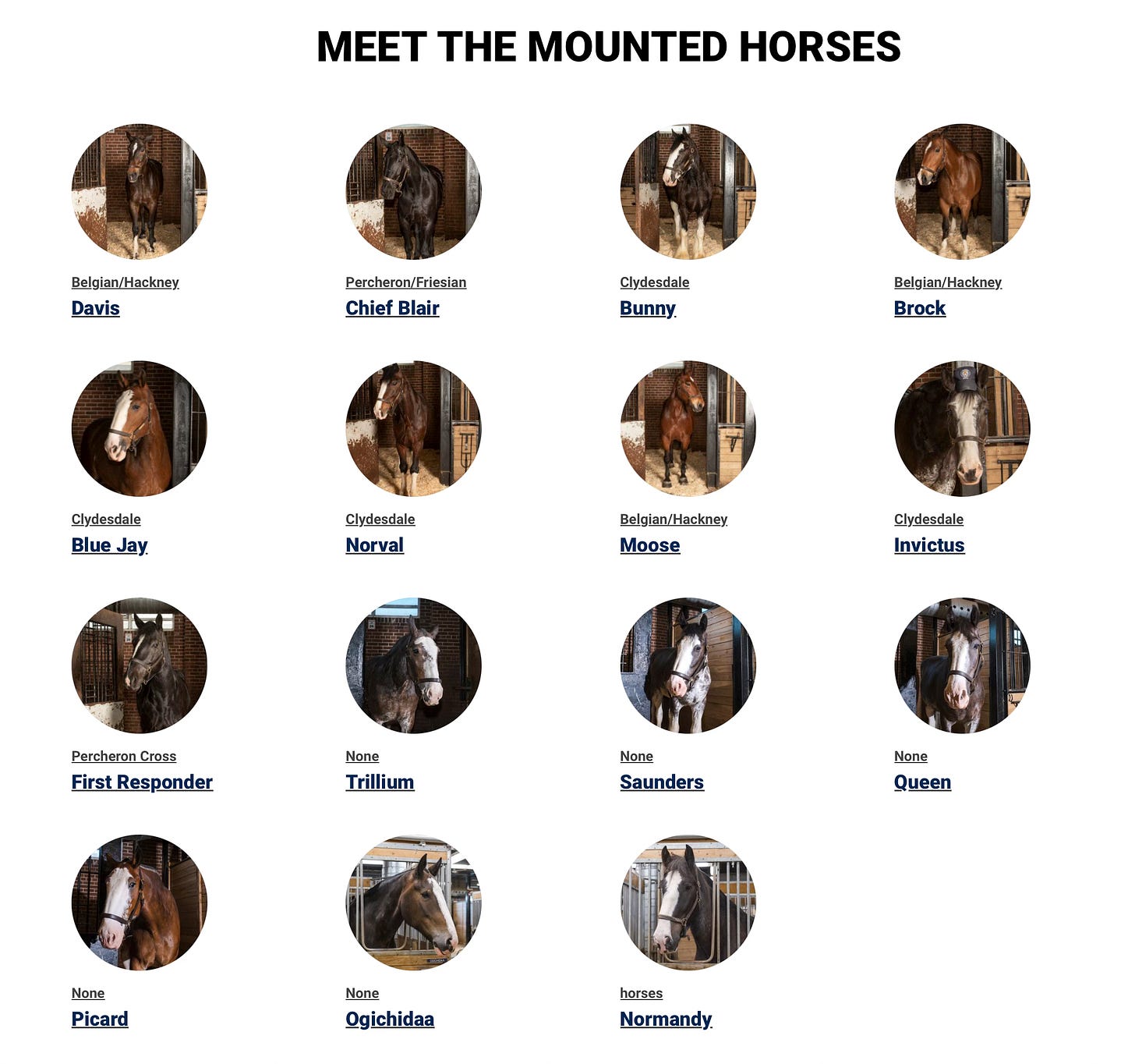 List of Toronto police horses, with names