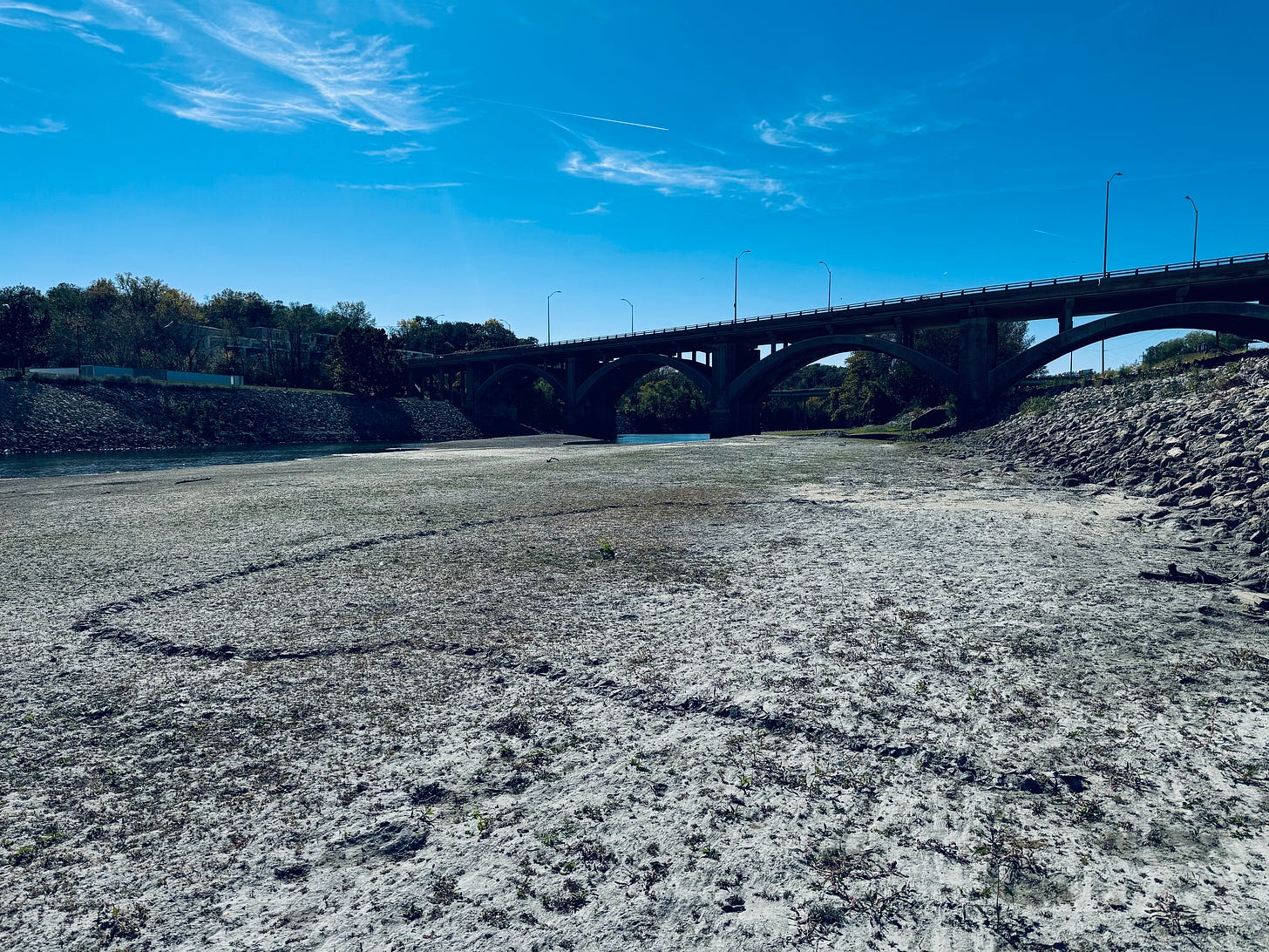 River bank with gopher trail