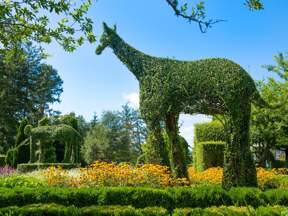 Green Animals Topiary Garden to hold plant sale, open for the season