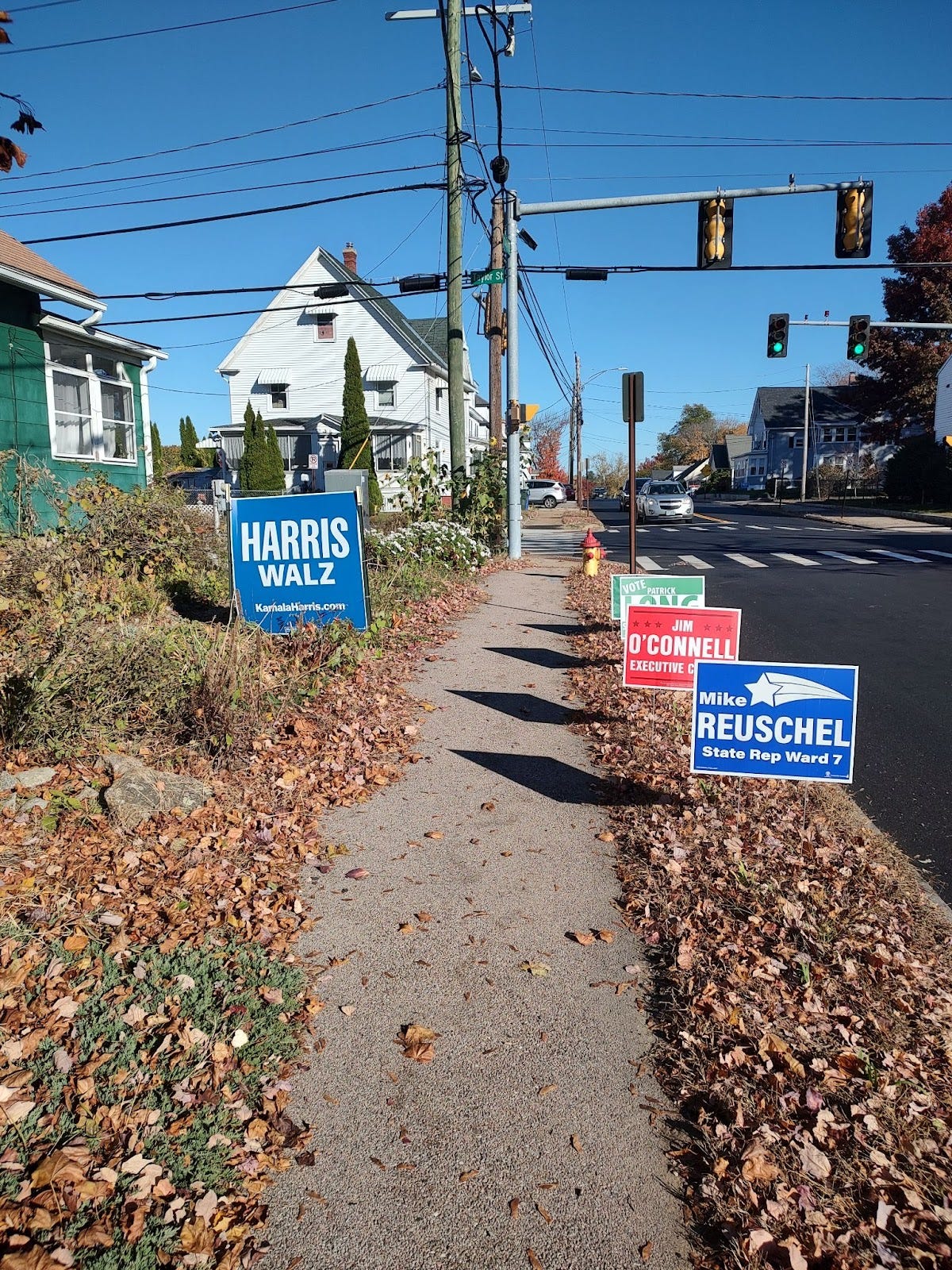 A city street in New England, replete with campaign signs and autumn leaves. 