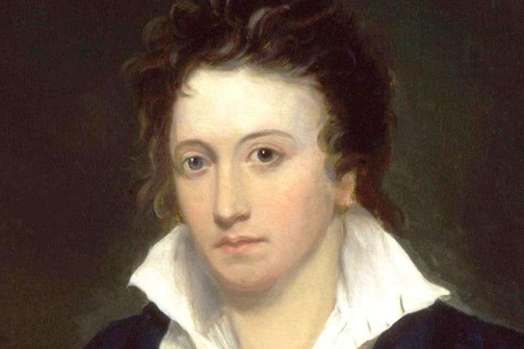 oil portrait of Percy Shelley, who has brown eyes, fair skin and curly brown hair