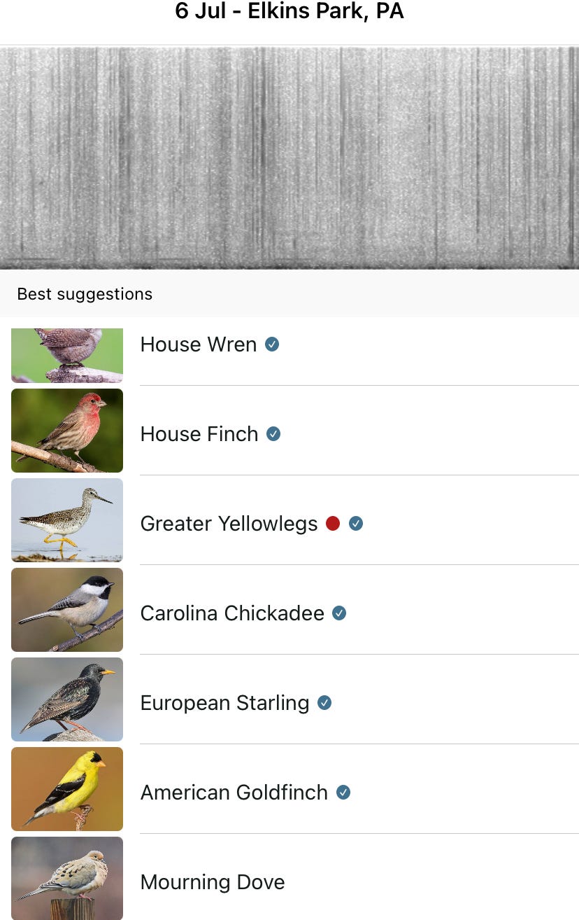 a screenshot from the Merlin app listing birds