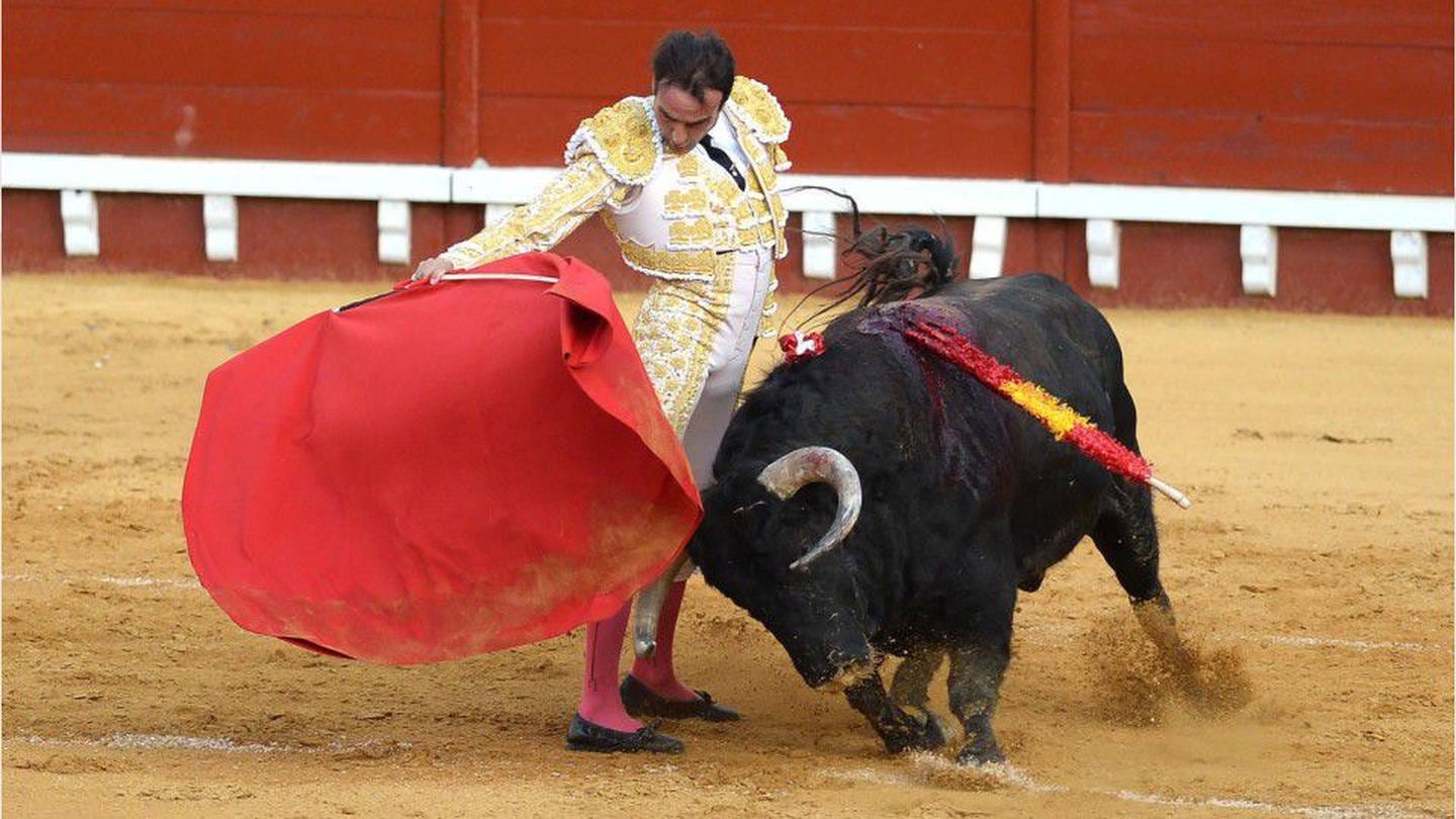 WATCH: Matador rammed by bull during bullfight in Spain – KIRO 7 News  Seattle