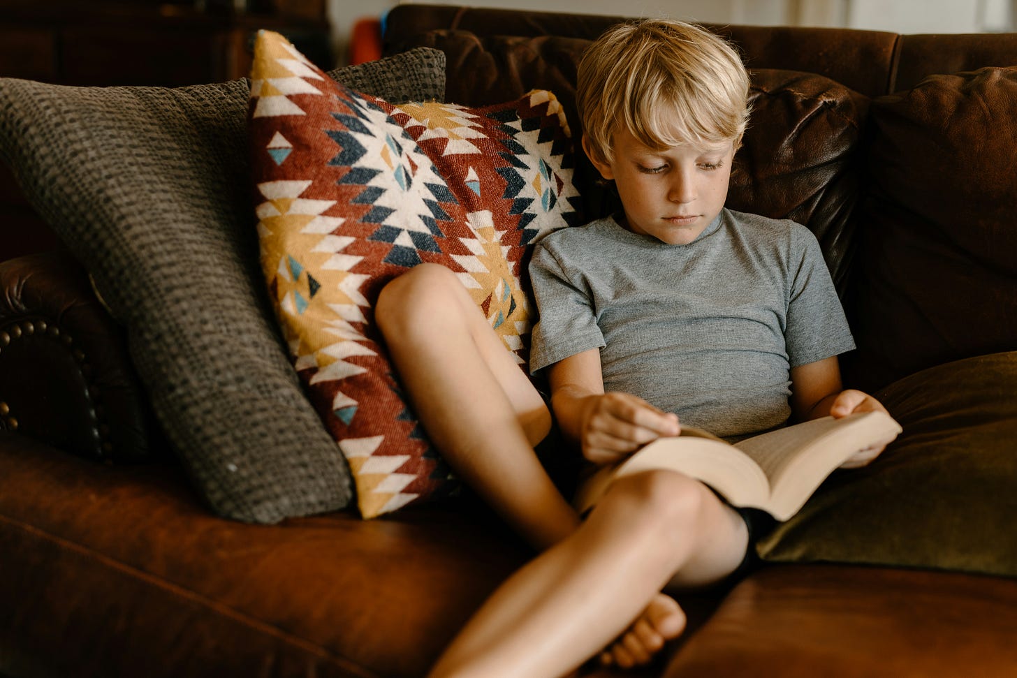 Cozy image of a boy reading a book