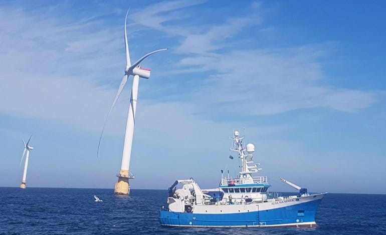 Hywind Scotland to trial safe fishing around floating wind