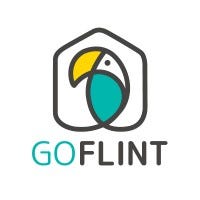 Logo de GoFlint.fr