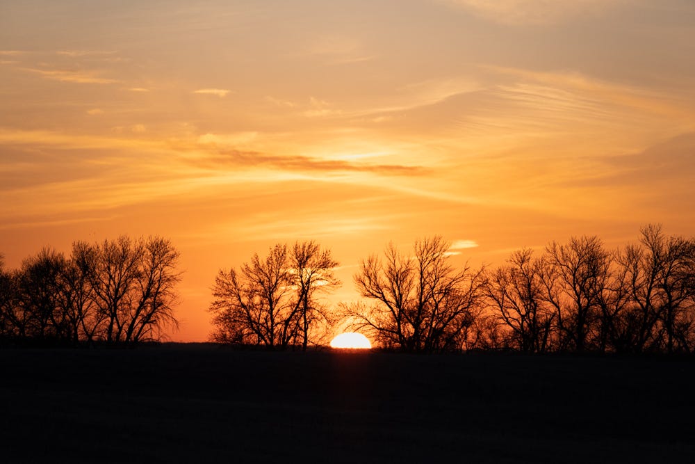 The sun set in firey orange skies over a shelter belt in northwestern North Dakota in May 2023