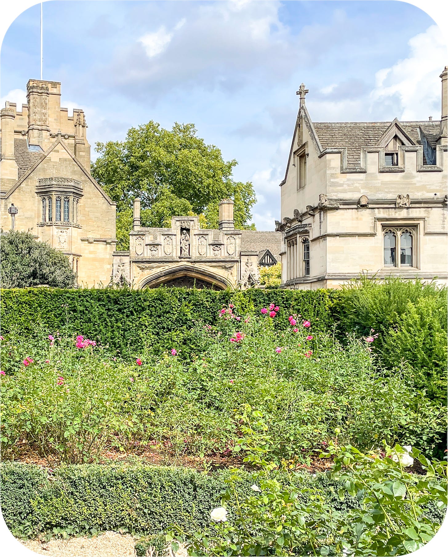 Rose Garden, Oxford University