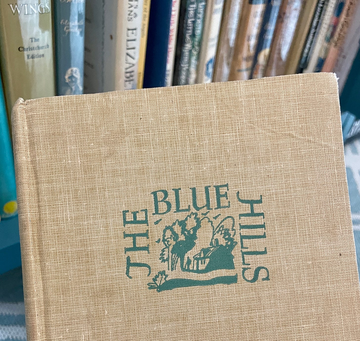 Cloth cover of The Blue Hills, the US edition of Henrietta’s House