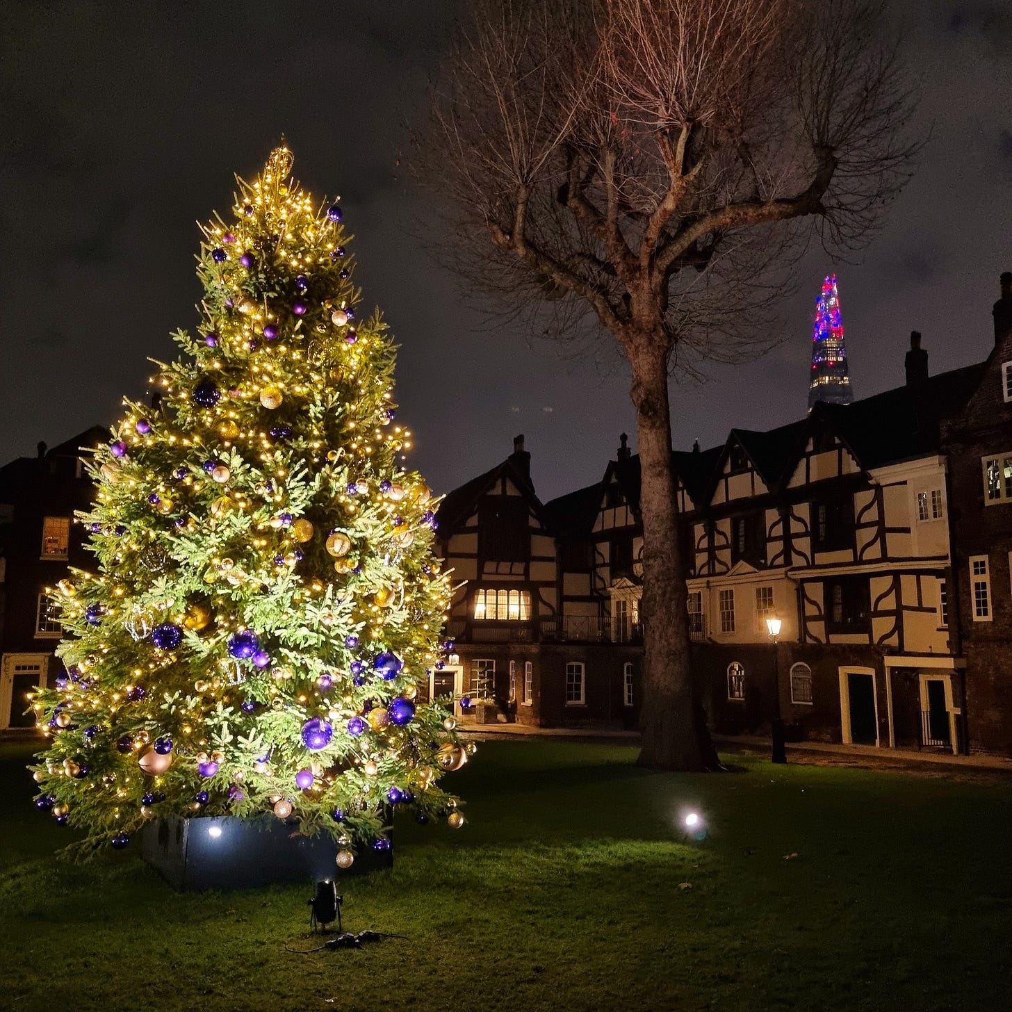 May be an image of christmas tree and York Minster