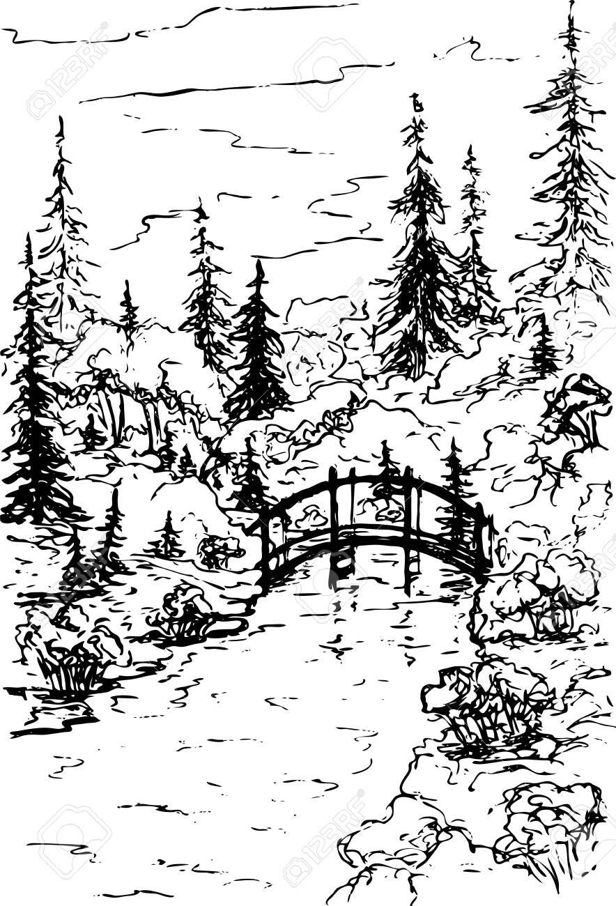 Vector forest landscape with a wooden bridge over a stream, trees and fir trees. Forest river in the wilderness. Black silhouettes isolated on white background. Sketch design, contour drawing style. - 133614273