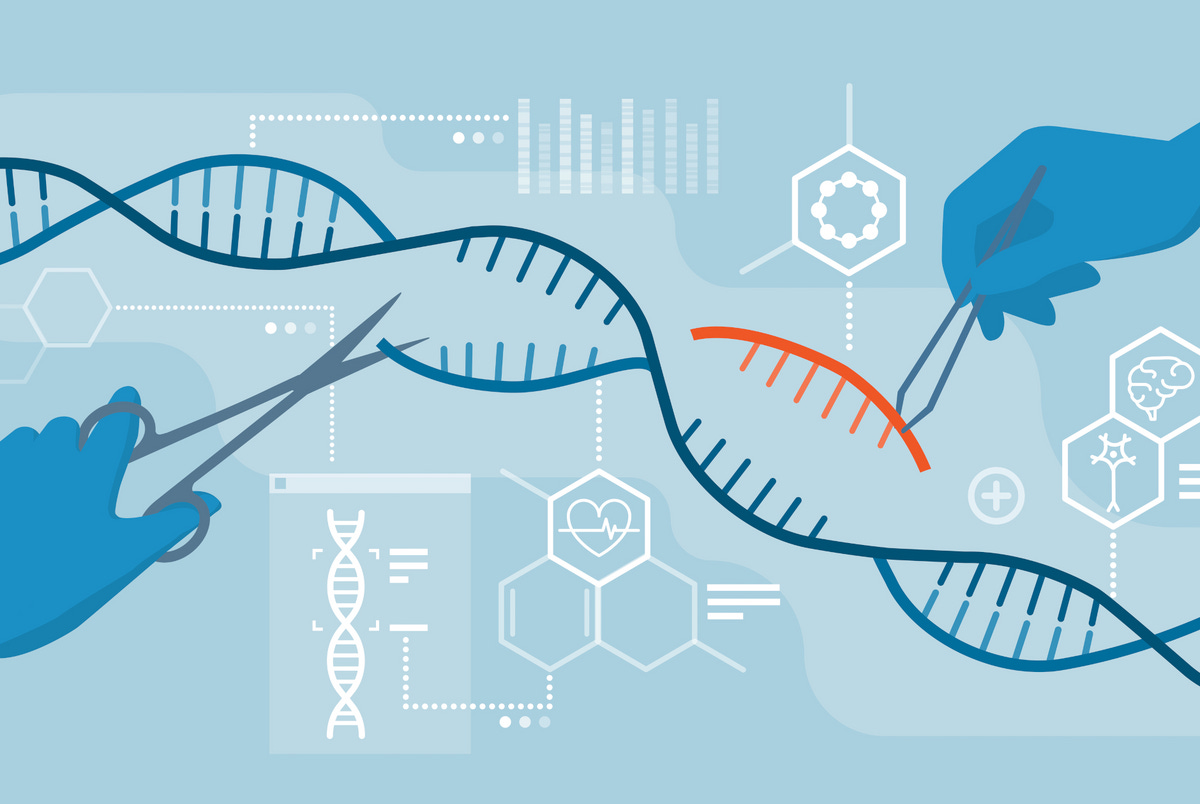 CRISPR Gene Editing Prompts Chaos in DNA of Human Embryos | The Scientist  Magazine®