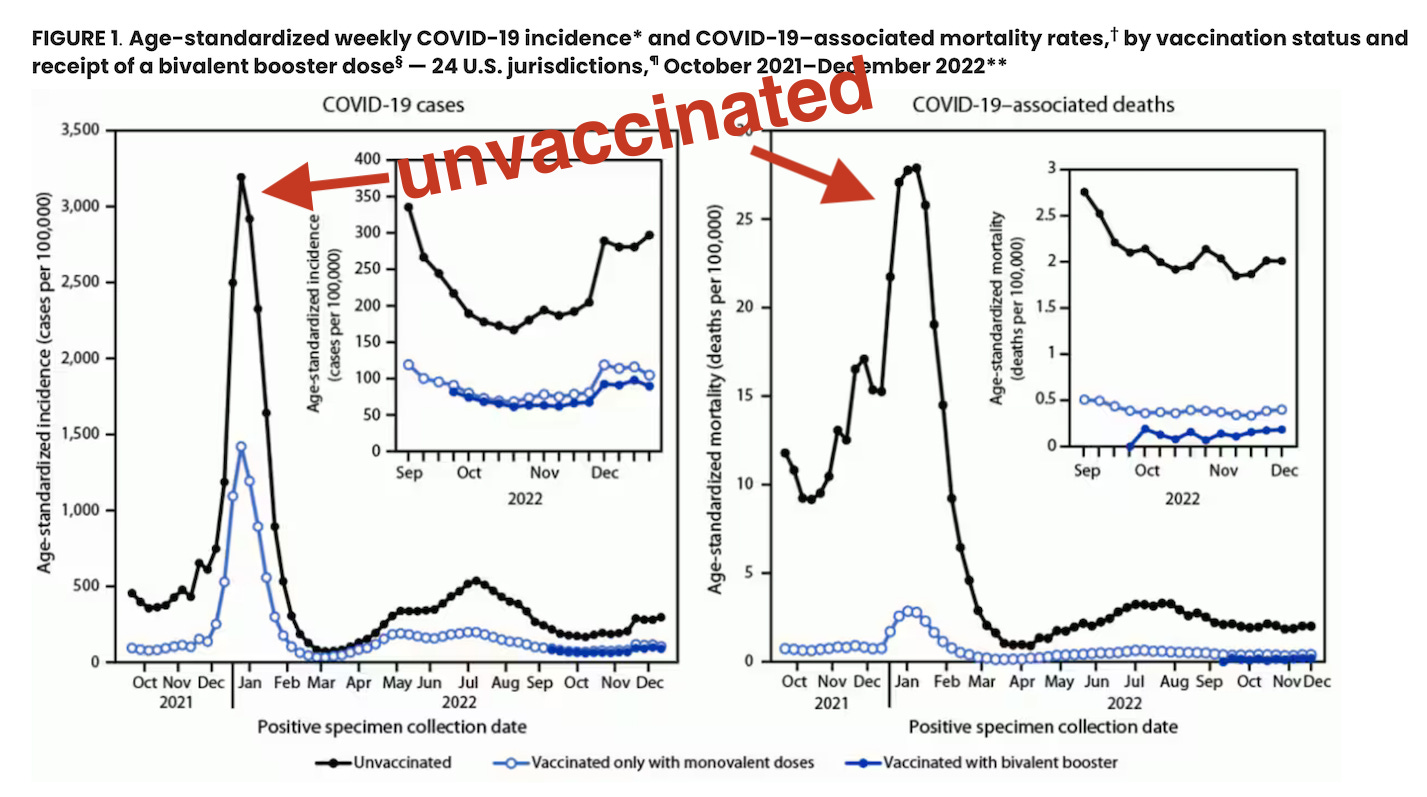 Once you compare vaccinated vs unvaccinated status,  it becomes very easy to see that the majority of COVID cases and almost all of the COVID deaths were in those who were unvaccinated. 