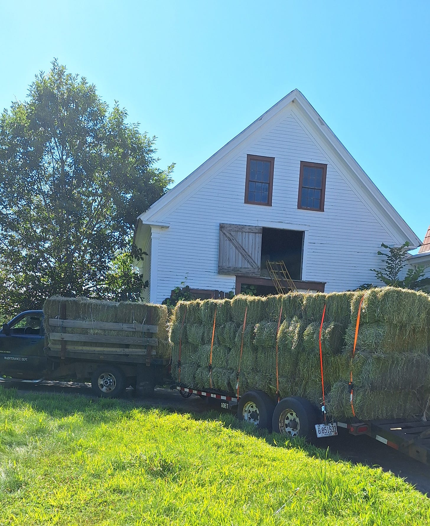 bales of glory triumph