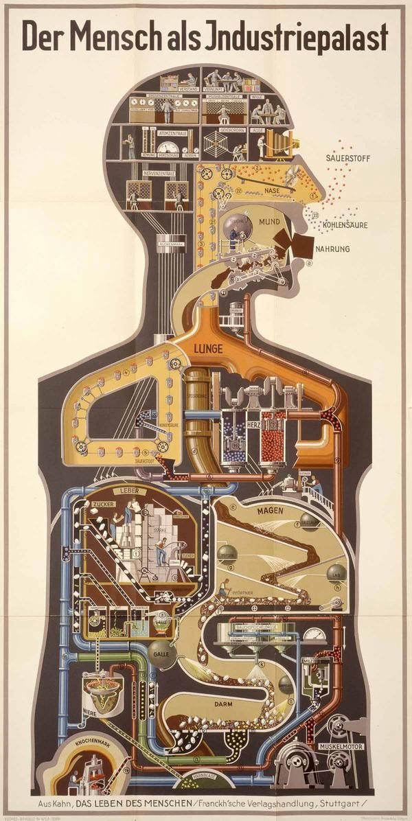 'Man as Industrial Palace,’ - Fritz Kahn, 1926