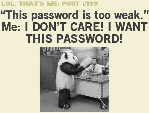 Panda smashes computer