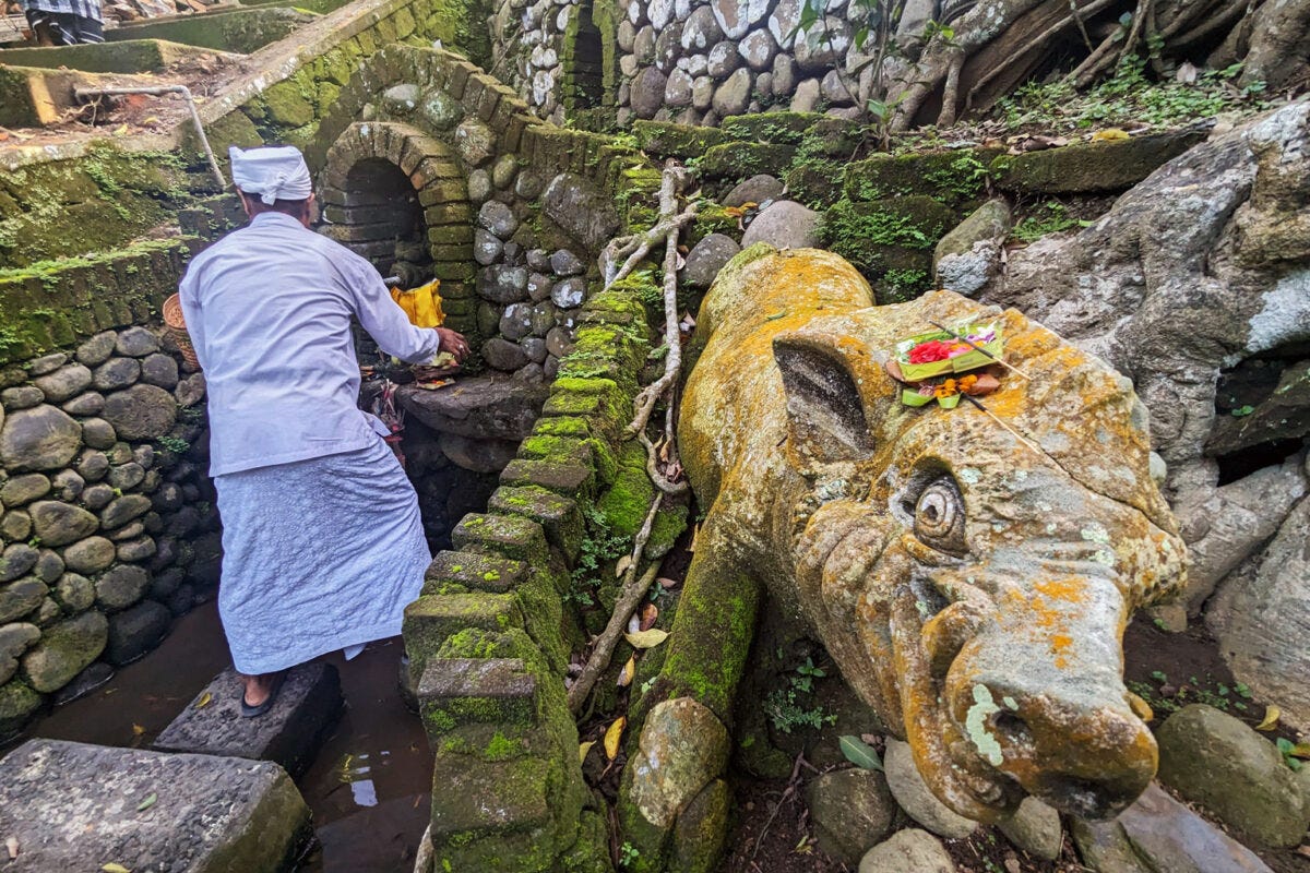 A water temple priest.