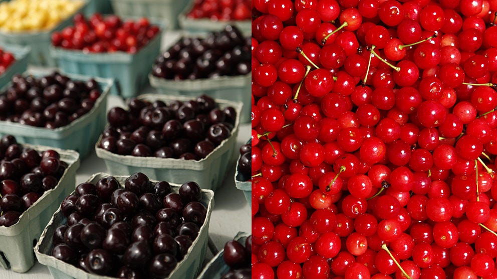 Cherry Varieties - Tart Cherries and Sweet Cherries