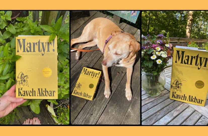 Three photos of Martyr! on three different backgrounds: next to a pot of mint, on the porch next to my dog, next to a vase of flowers on a porch table.