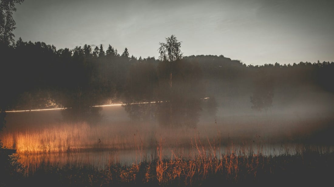 Pond covered by fog at dawn