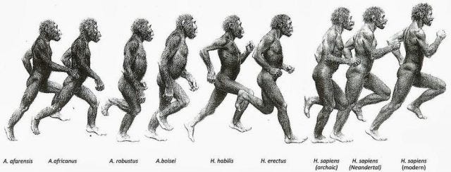 The ape who learned to run: Were we born for endurance races? - Mapping  Ignorance