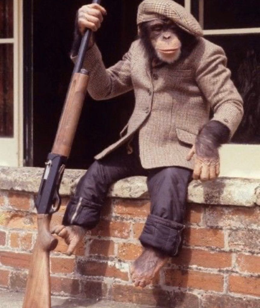 Milk Ape 🦍 on Twitter: "@cyelatm OLD HANCOCK.. Experience chimp, Oldest of  Gang Fight off intruder with stick of BANG https://t.co/DvtGfUtjvf" /  Twitter