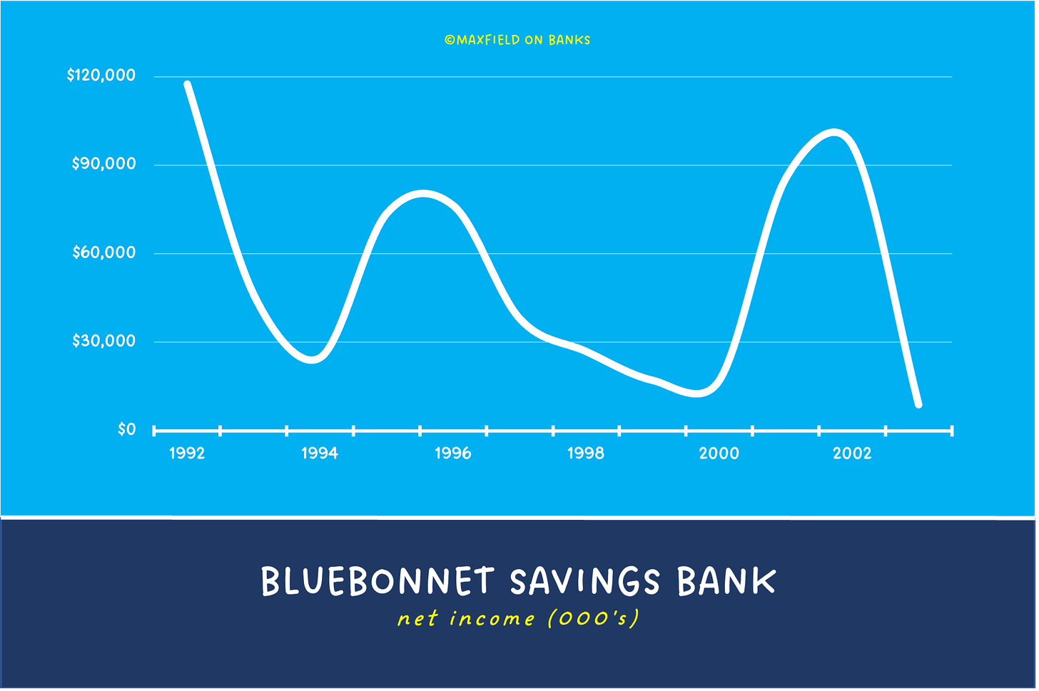 Bluebonnet Savings Bank Net Income