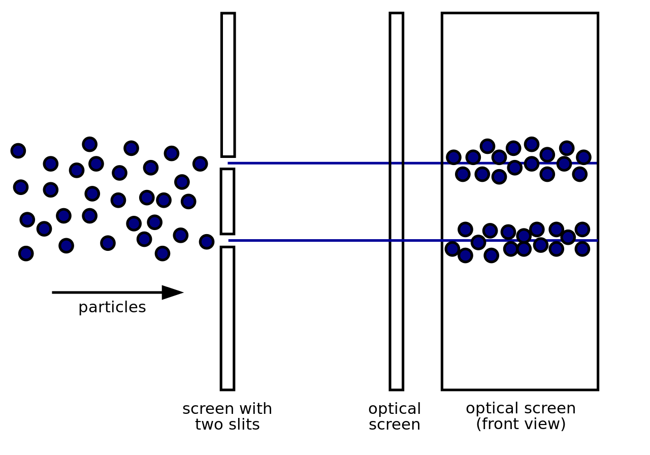 quantum physics observer effect