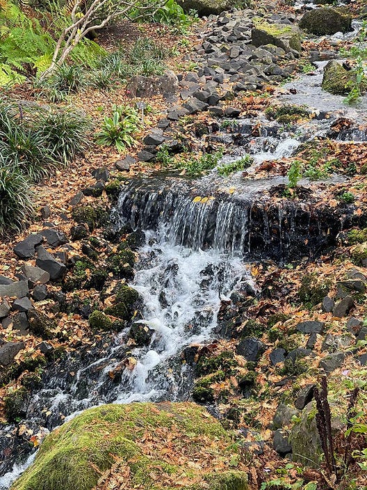 Royal Botanic Garden Edinburgh