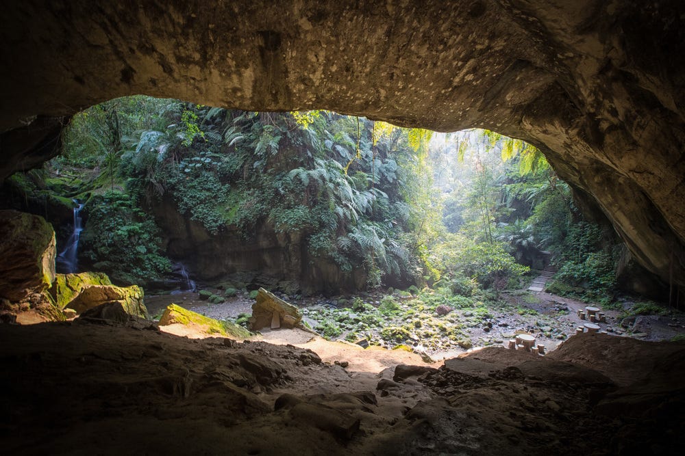 Sanmin Bat Cave (三民蝙蝠洞) — Josh Ellis Photography