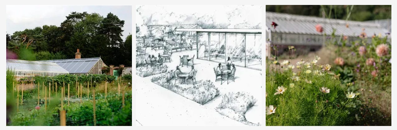 A greenhouse and a hand-drawn sketch of a garden kitchen and restaurant