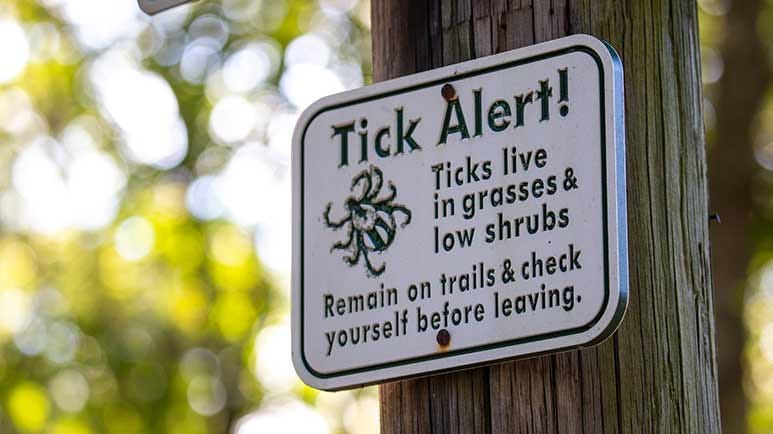tick borne disease