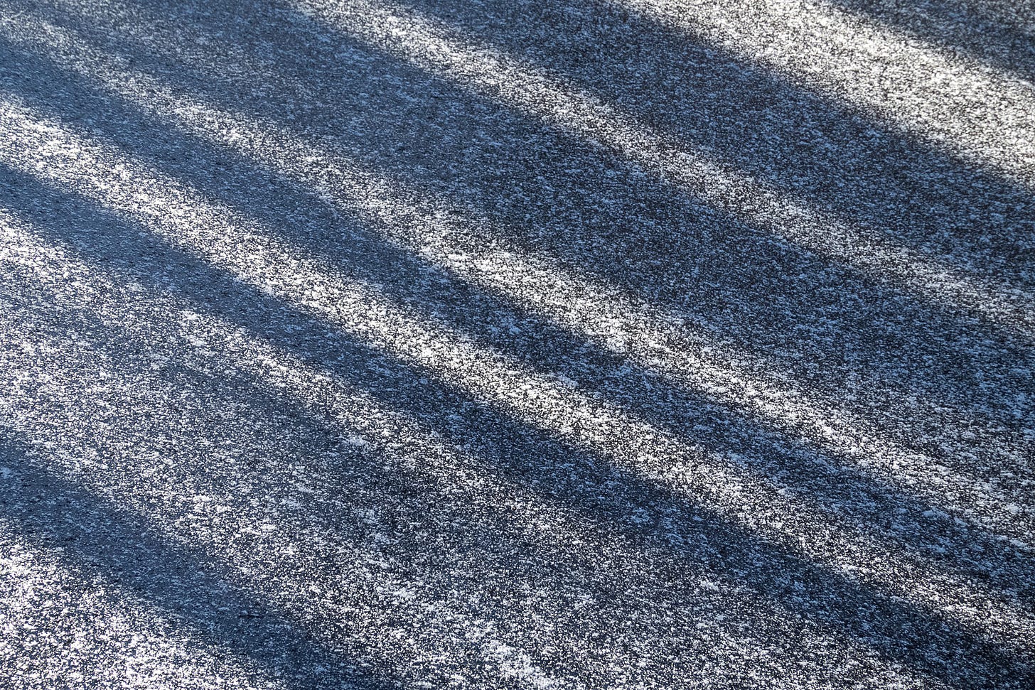 Monochromatic pattern of diagonal lines from shadows cast by birch trees on snow dusted ice