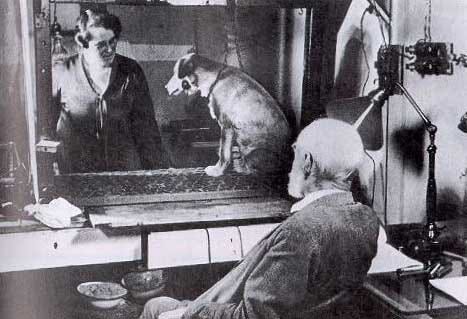 Pavlov's Dogs Study Explained: Modern Therapy