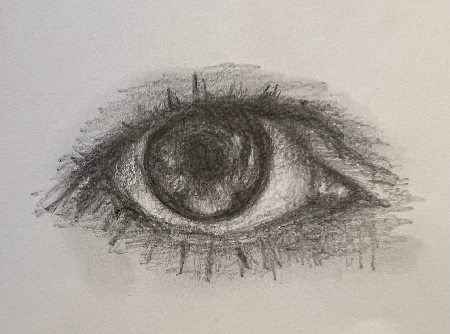 A sketched image of an eye.