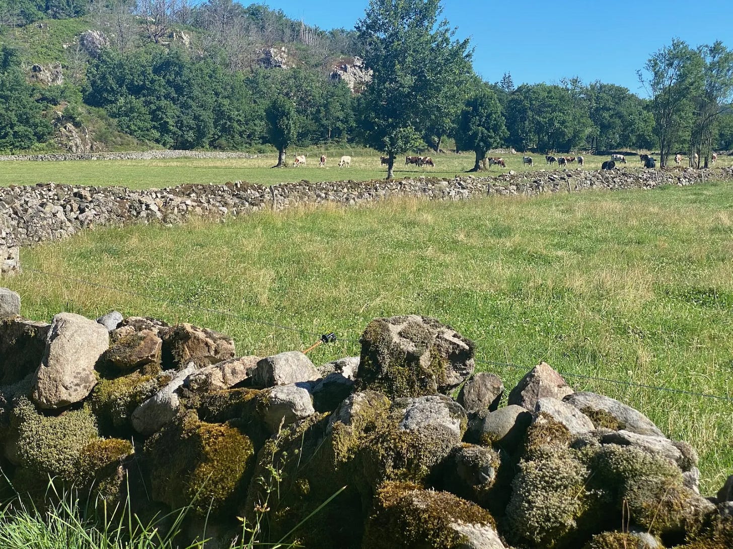 Le Cantal Le Cantal