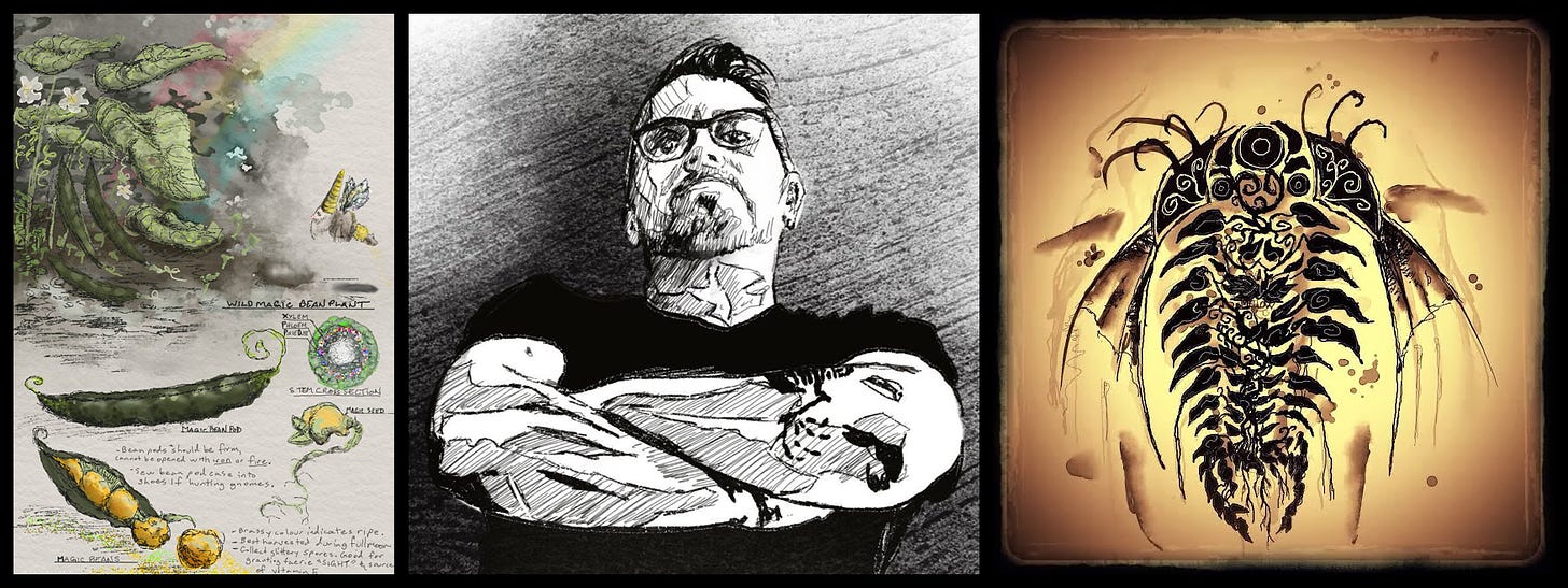 Left: Study of magic beans , center: black and white crosshatched self-portrait, right, black and sepia image of trilobite with wings