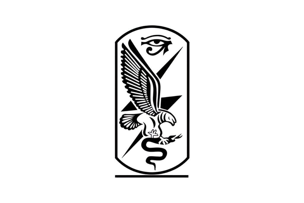 he emblem of Egypt’s GIS features a bird of prey swooping down to grasp a venomous snake, symbolising vigilance and domination over hidden threats. A lightning bolt cuts through the background—possibly representing the agency’s speed and power—while the protective Eye of Horus watches over, adding an ancient Egyptian symbol of protection and divine insight.