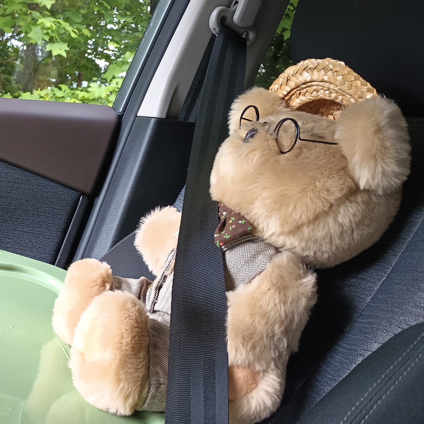 Clarence the stuffed bear in the car