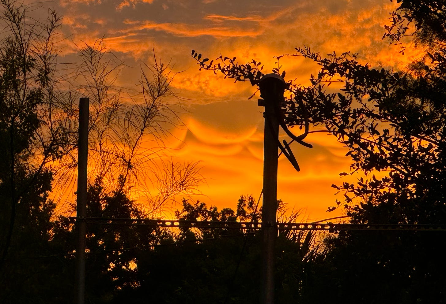 Orange clouds at sunset